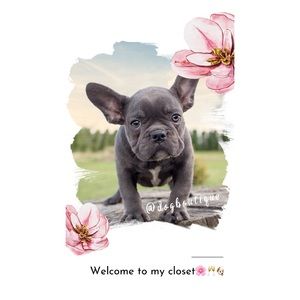 Welcome to @dogboutique